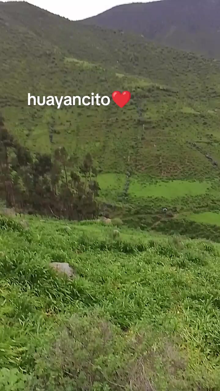 @pilu10