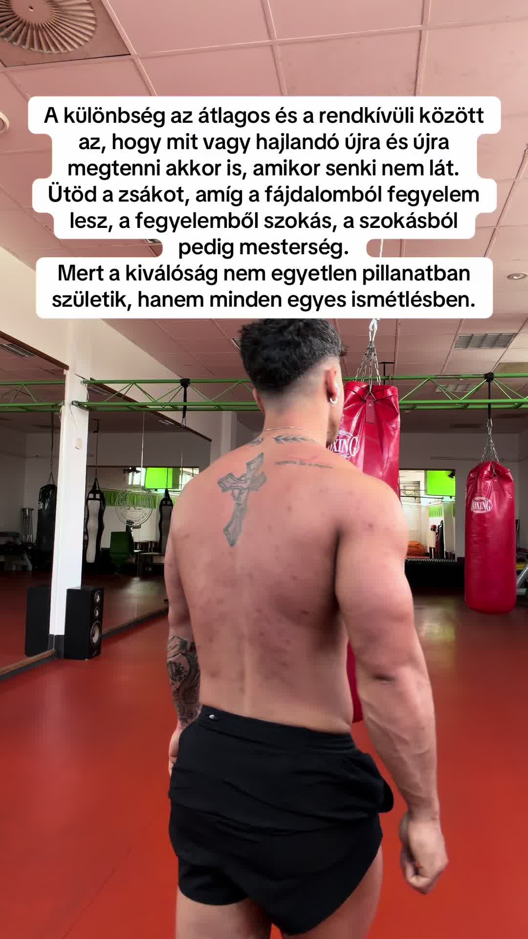 @Bobmaister_official