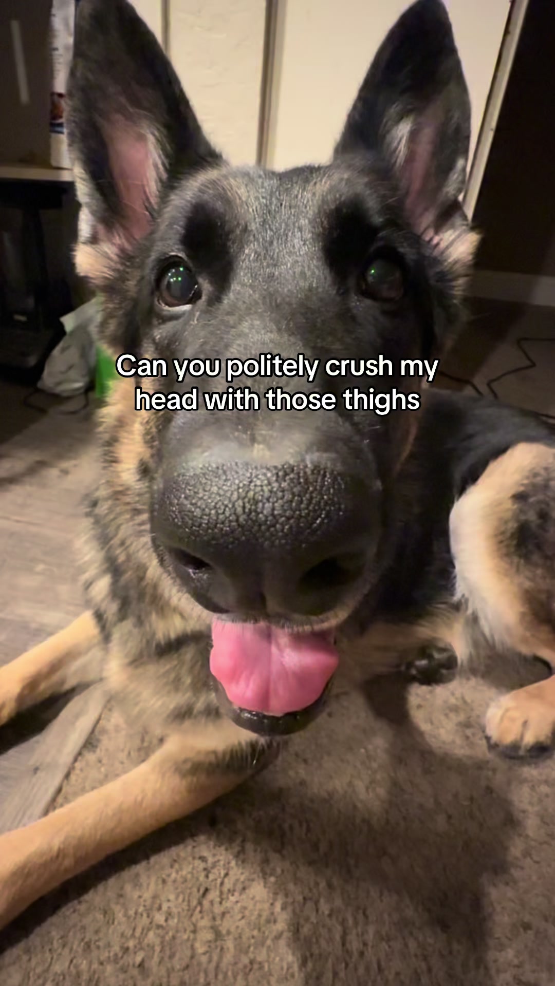 @Bhris
