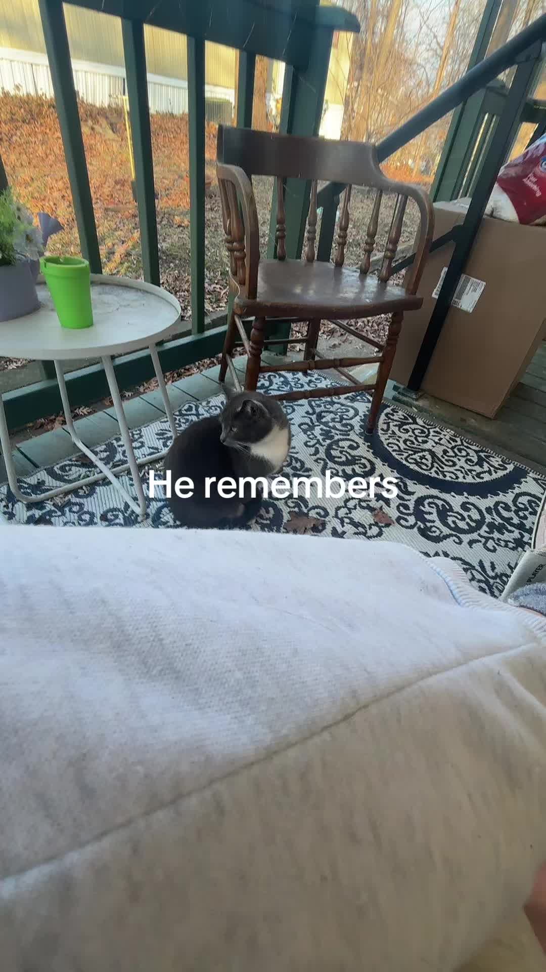 @Charlie