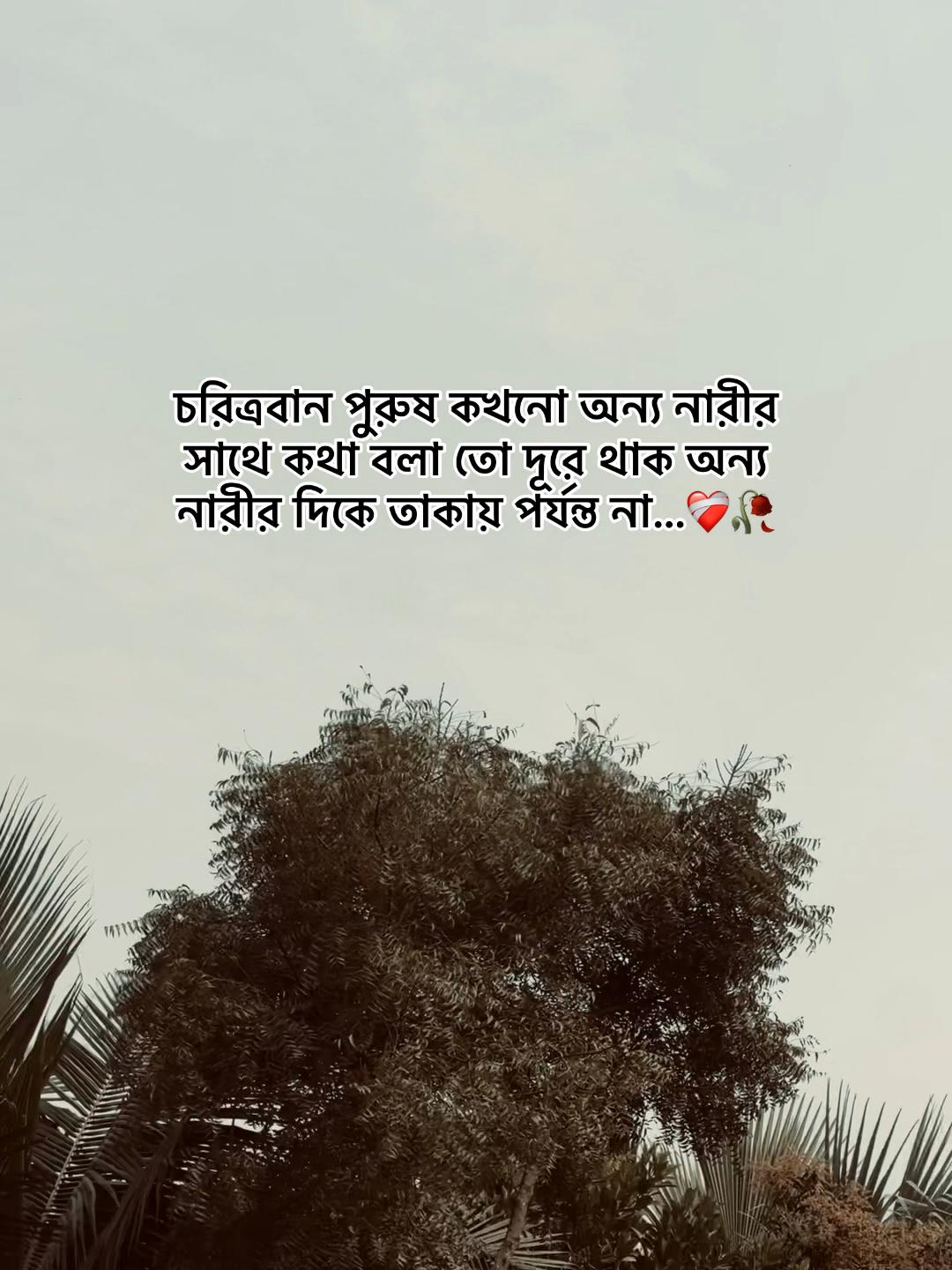 @-ᴅᴀɪꜱʏ-🌼