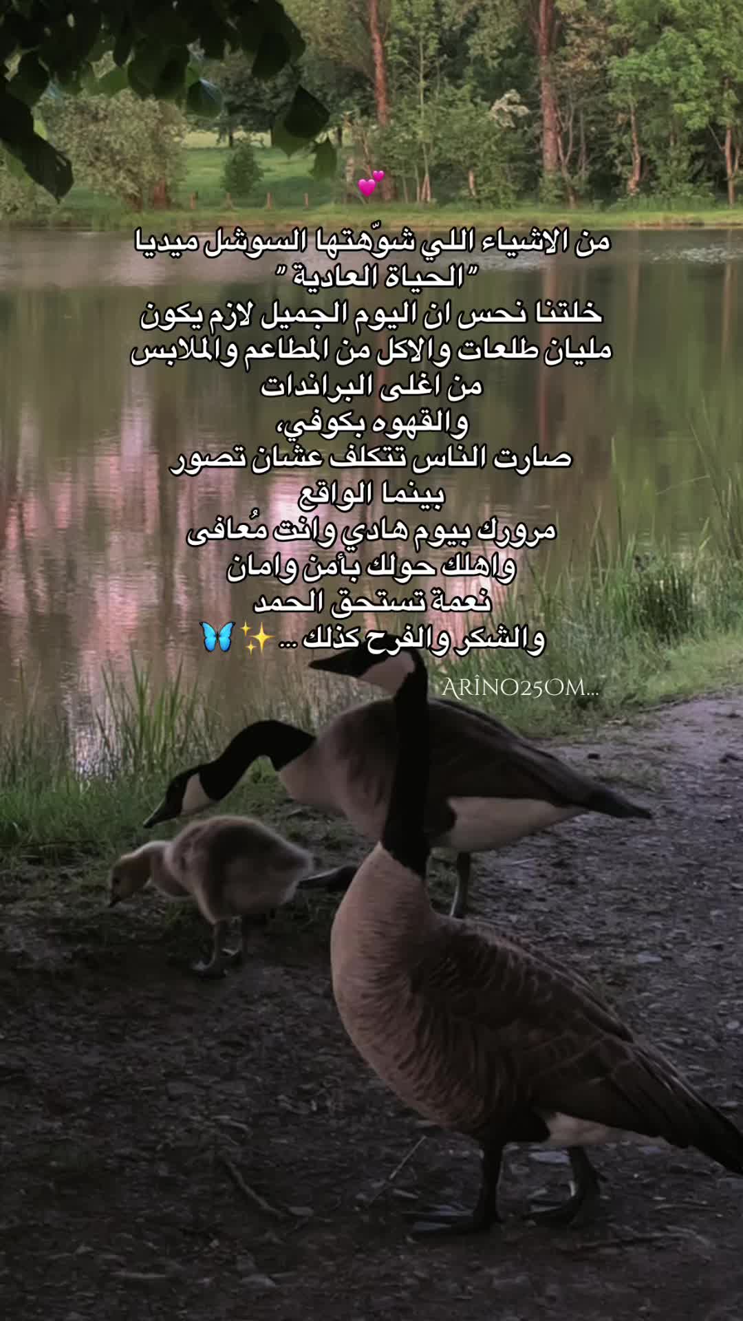 @Arîno25Om