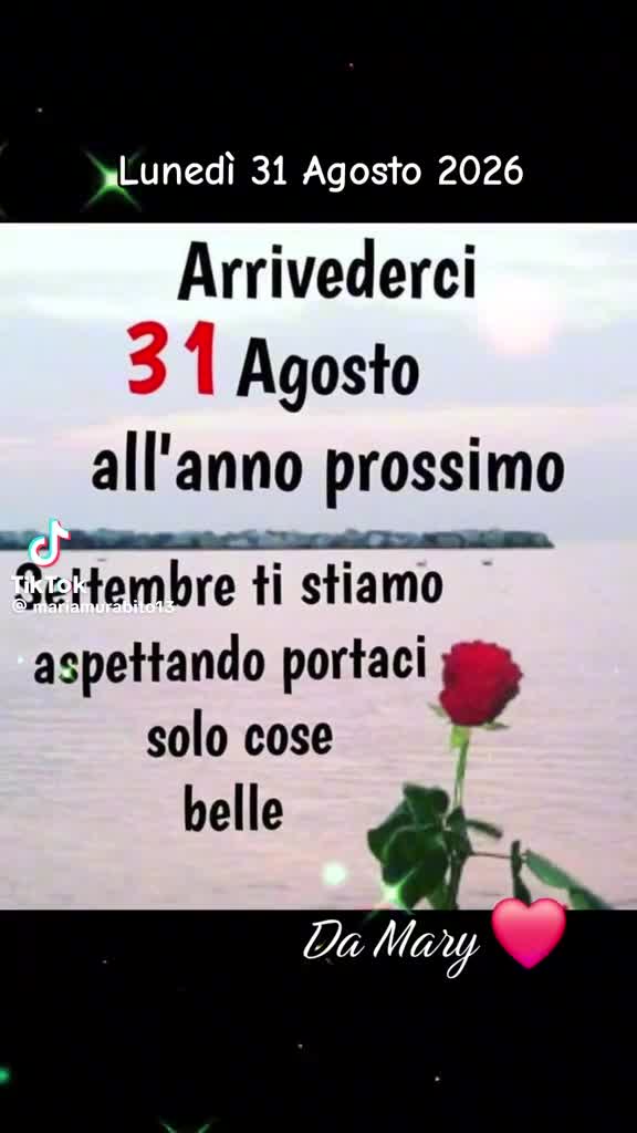 @veraveraadzovic