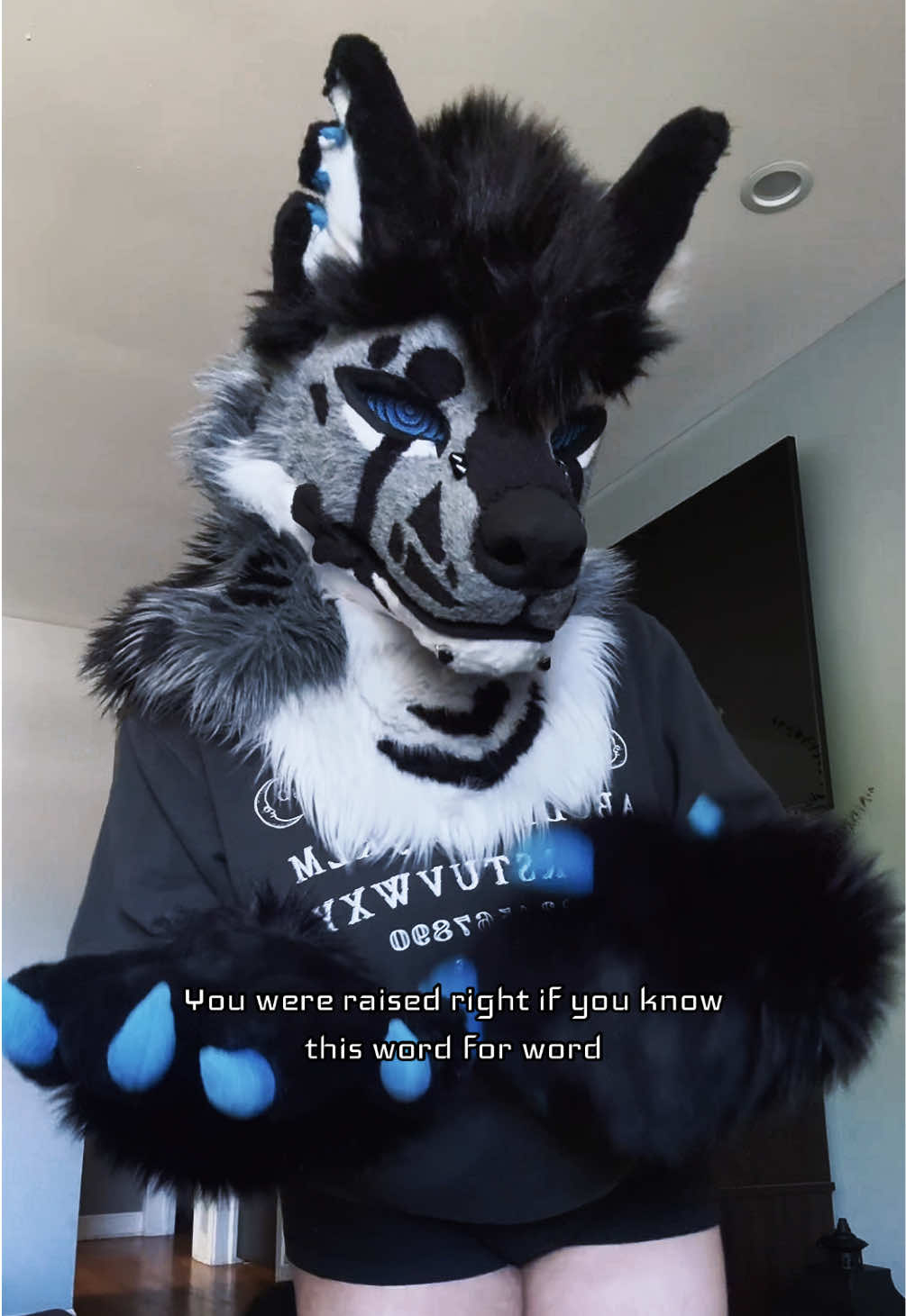 @sonar_hyena_shark