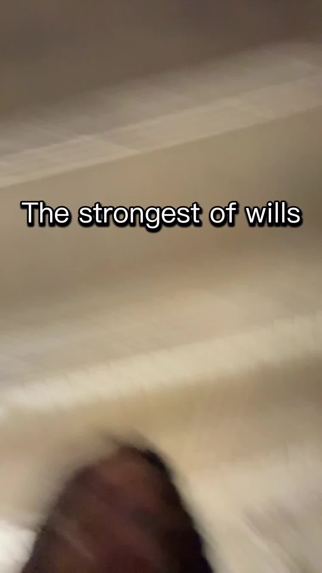 @jotunnpanda