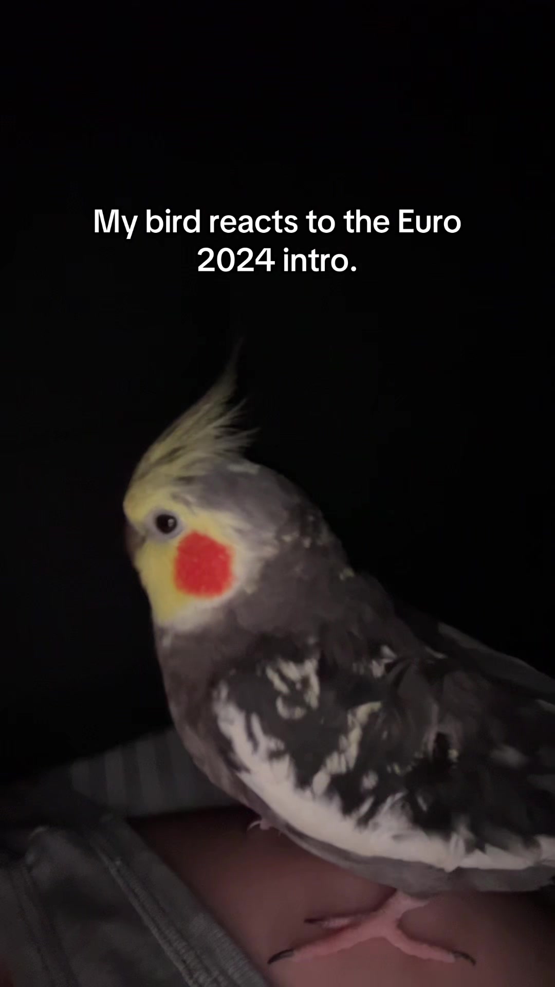 @Christian🇹🇩/🇮🇶