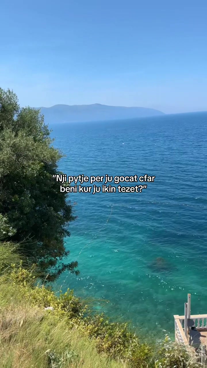 @Alee🇦🇱