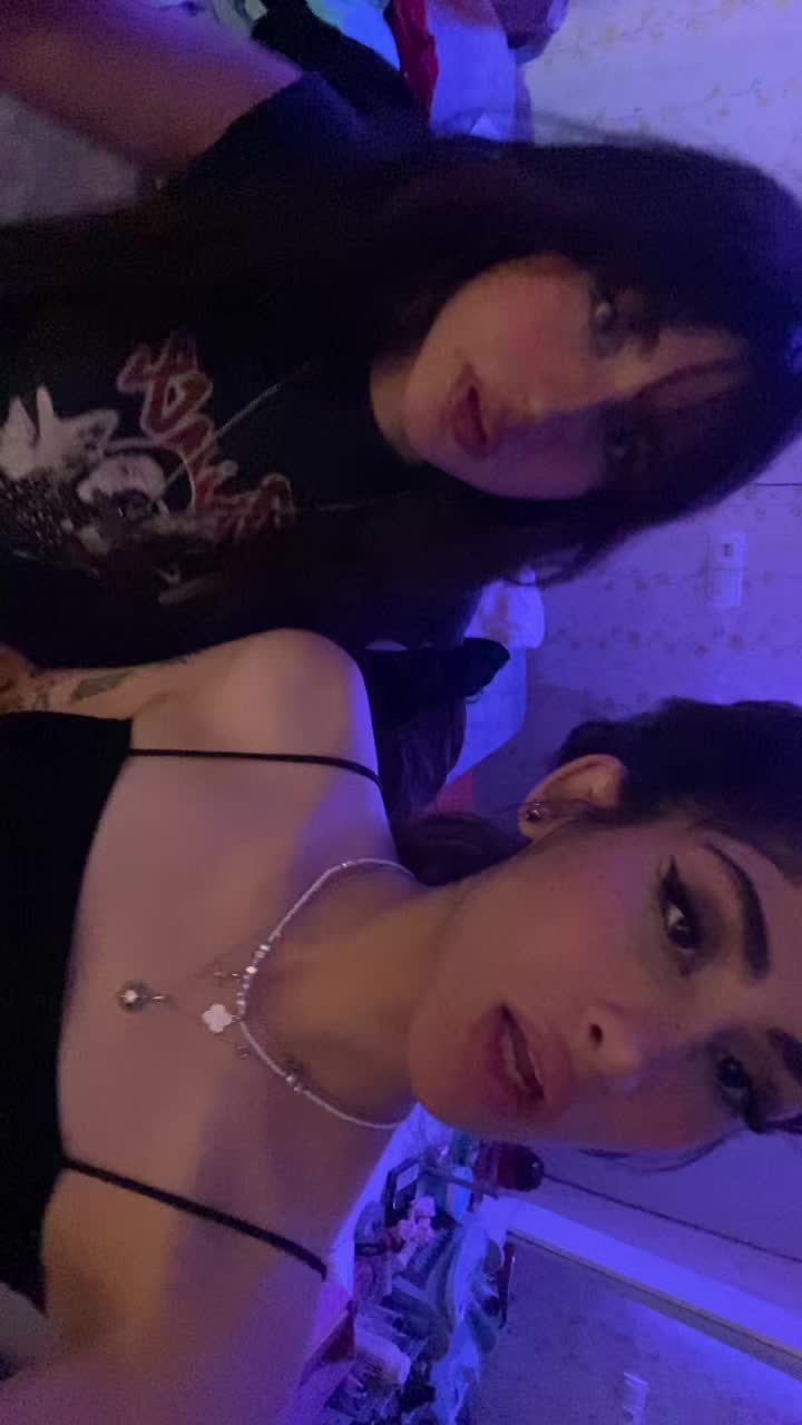 @hanieh