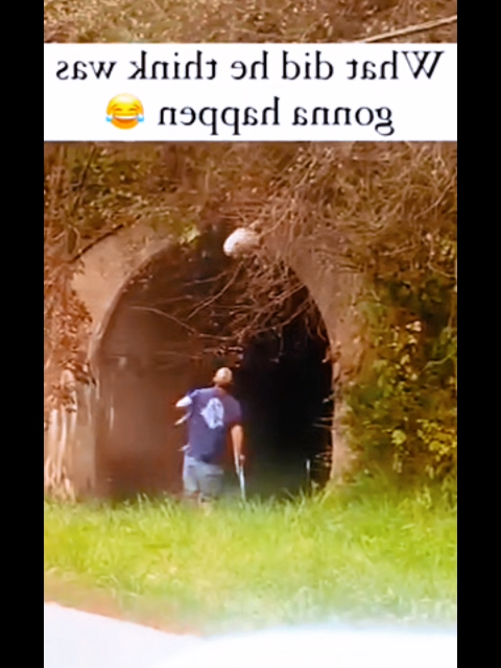 @DALYVIDS