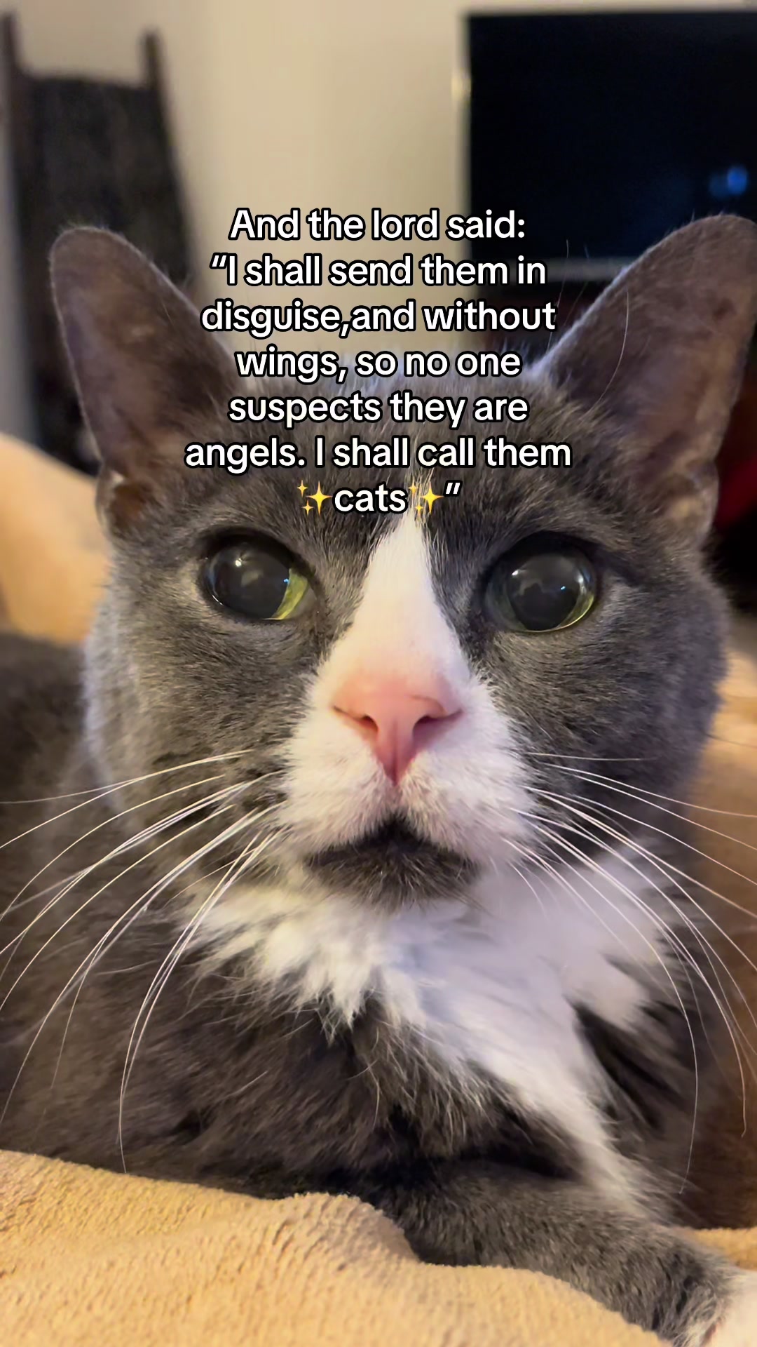 @Trixie the Tuxie