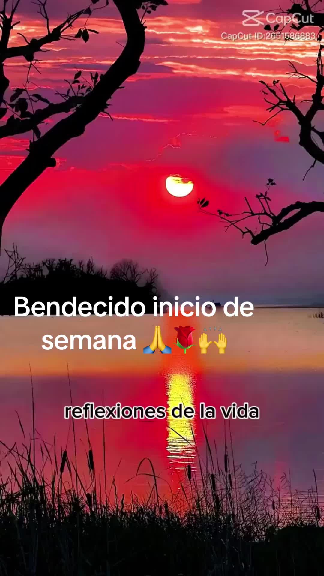 @rosasandoval1010Rosy Sandoval