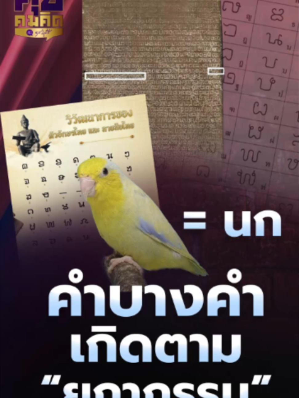 @news1