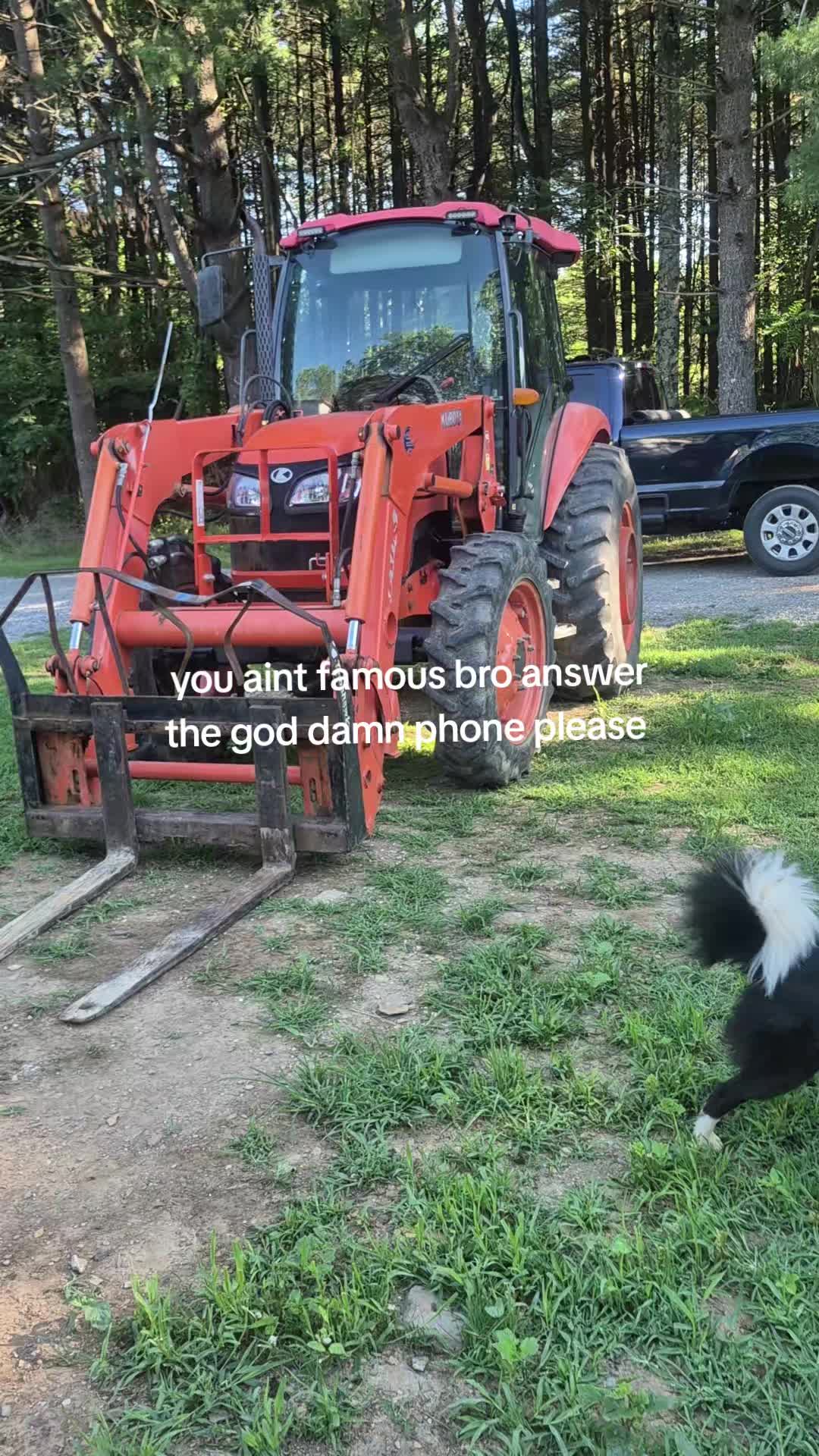 @🦆🌾𝓓𝓪𝓶𝓸𝓷🌾🦆