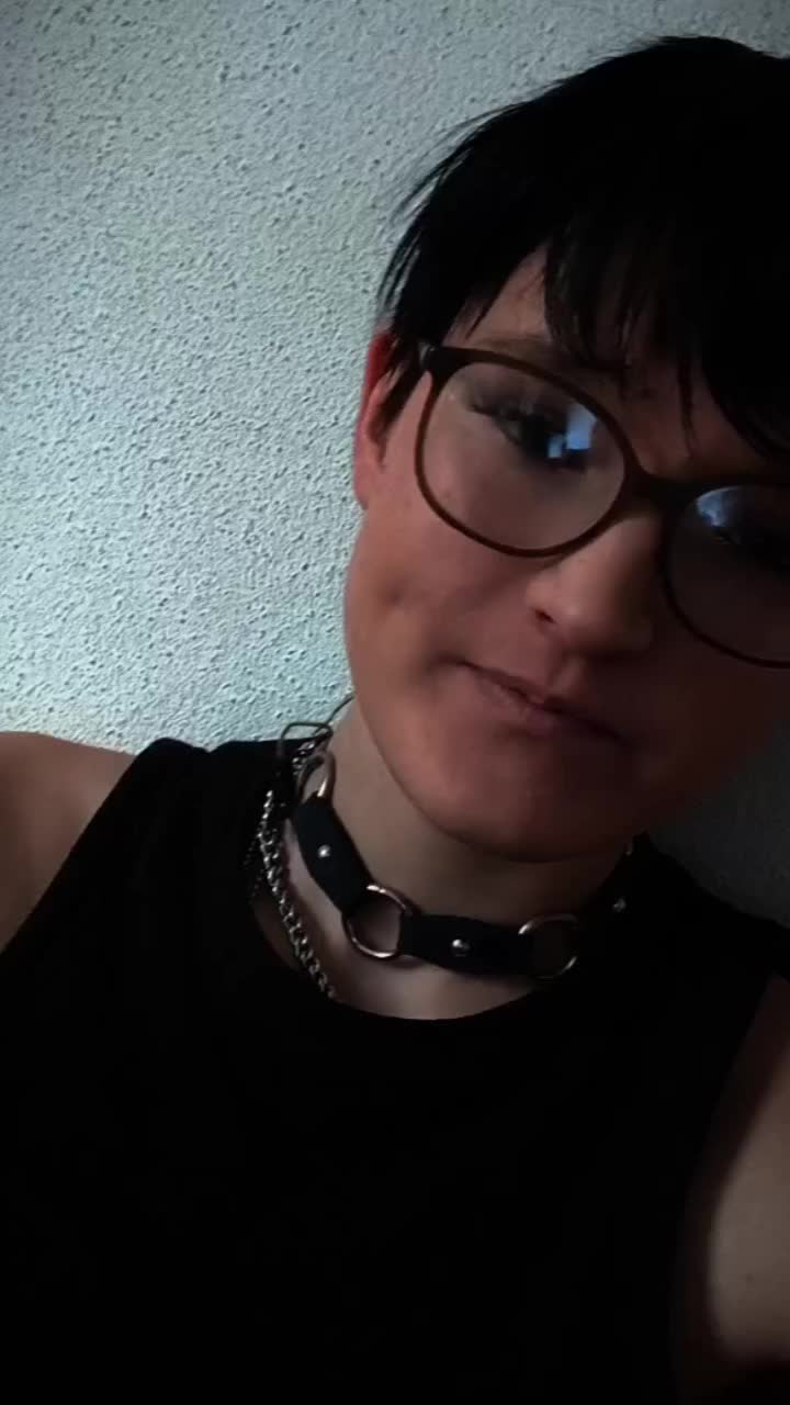 @Small_strays_bite