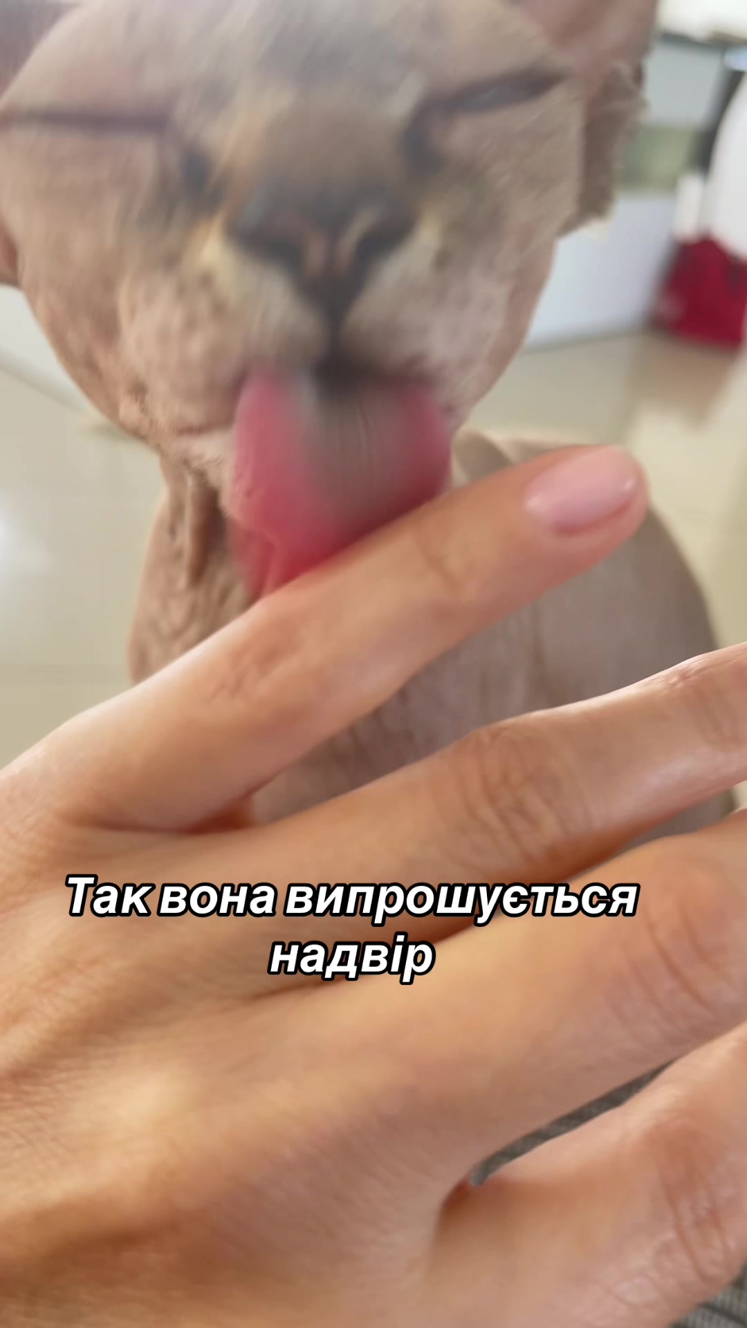 @slow live