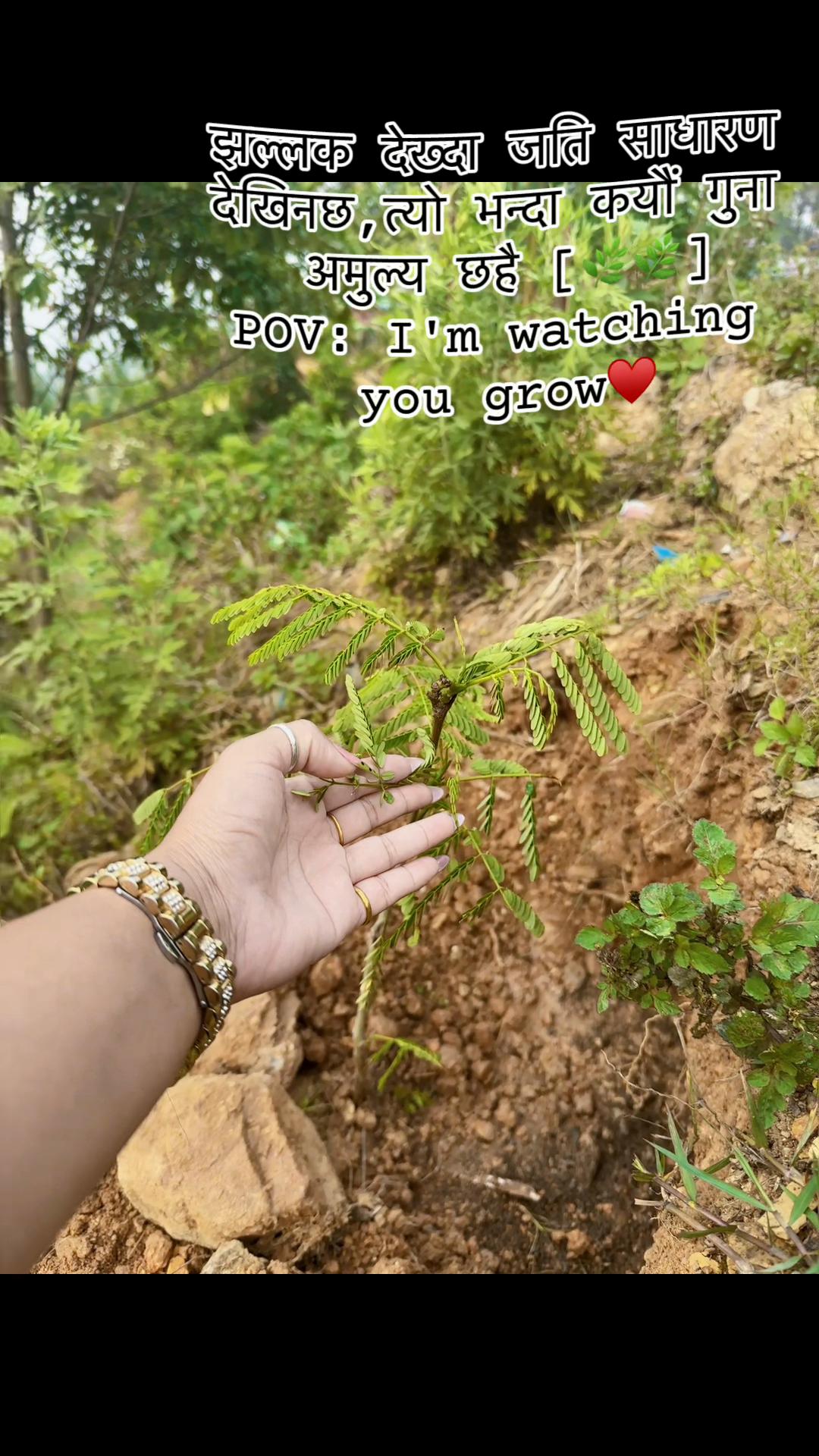 @ᥫ᭡Kali