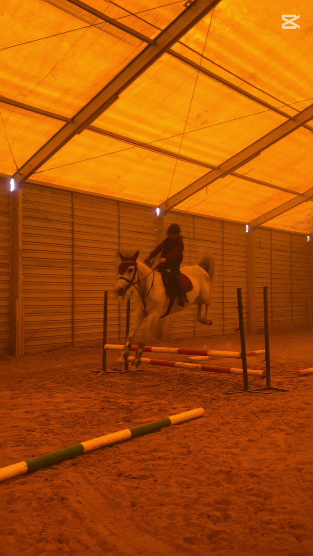 @😻🐴Eq._.N🐴😻