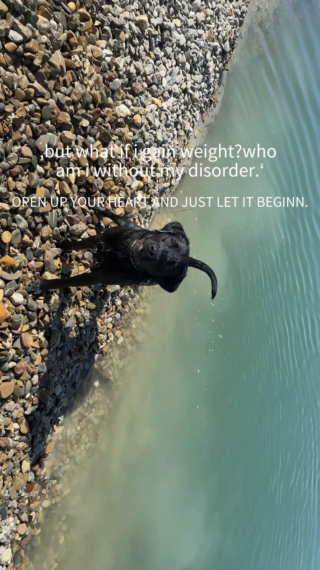 @່
