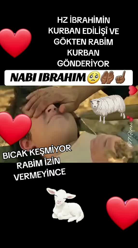 @Ecrin Yildiz