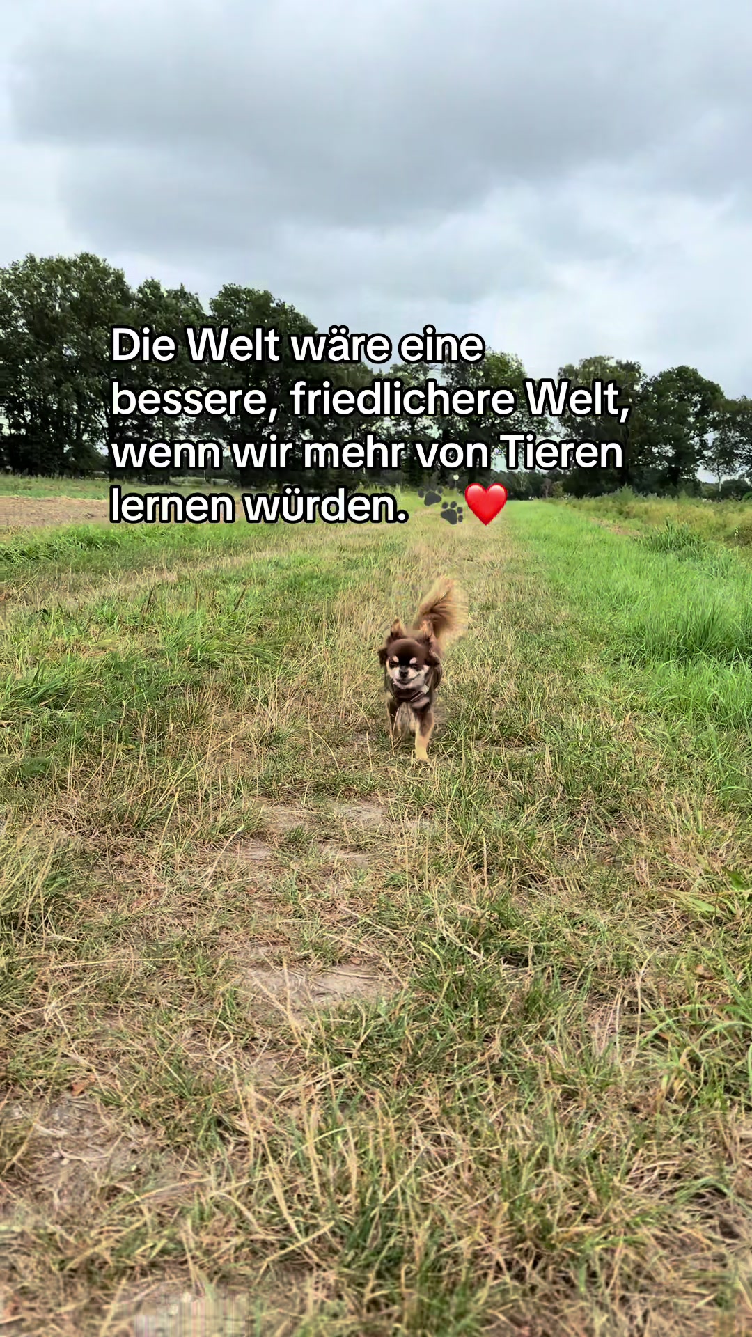 @Hɪᴍʙäʀᴄʜᴇɴ 🦅🇩🇪