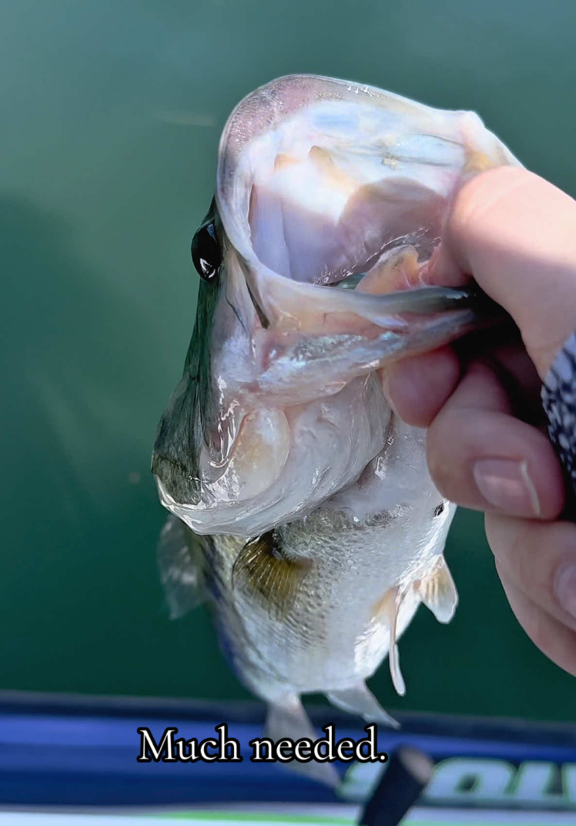 @Rod N Hand Fishing