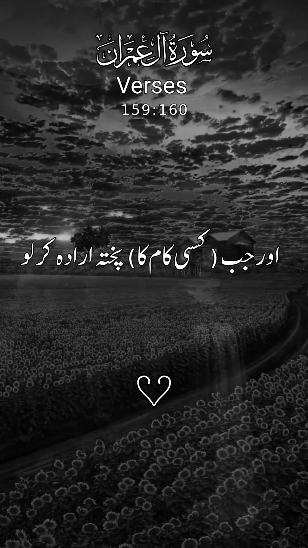 @❣️ Words of Allah ❣️