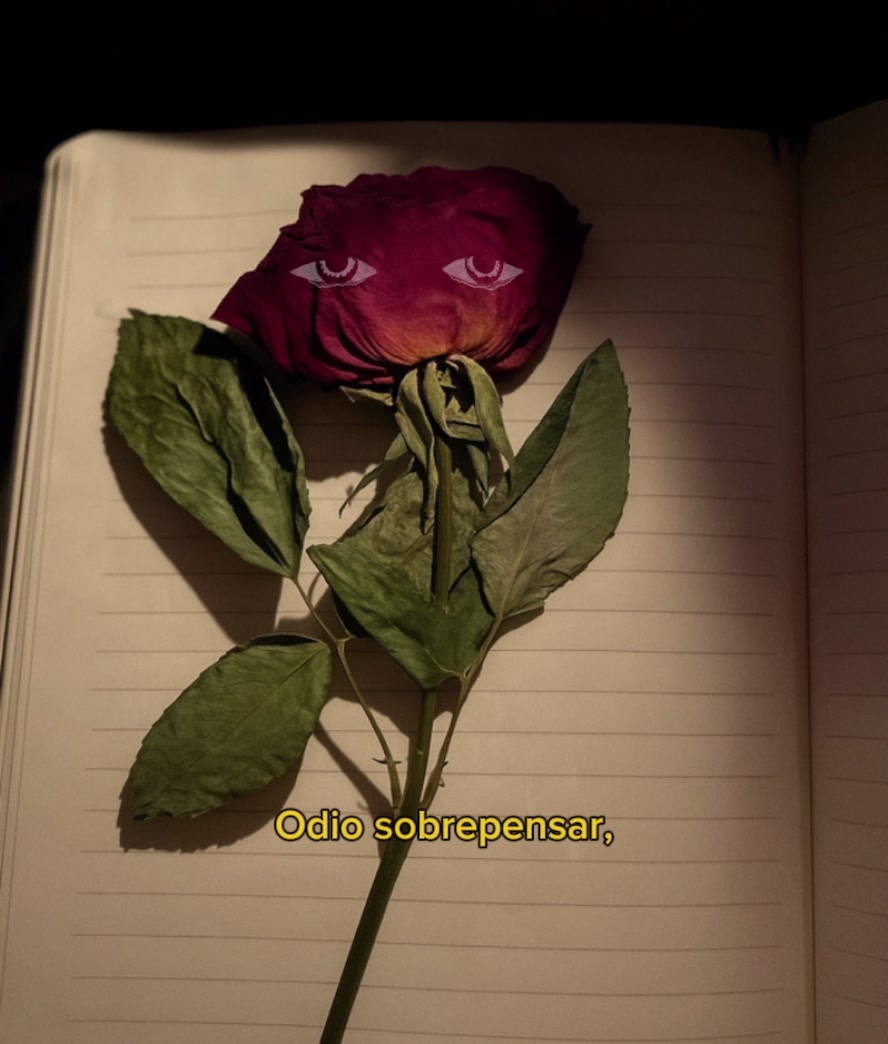 @Mateo Martinez