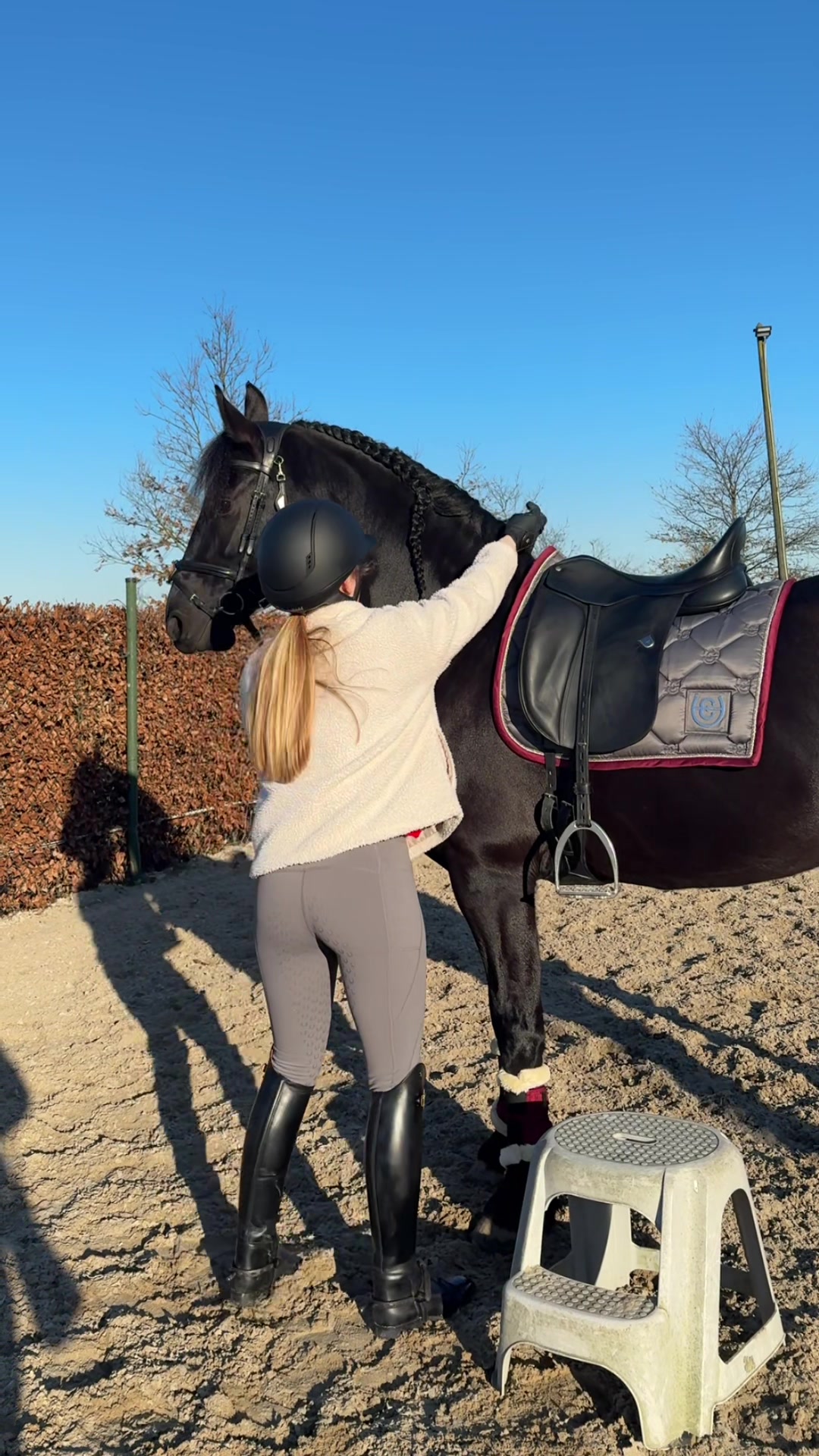 @Phoebe Tack Dressage