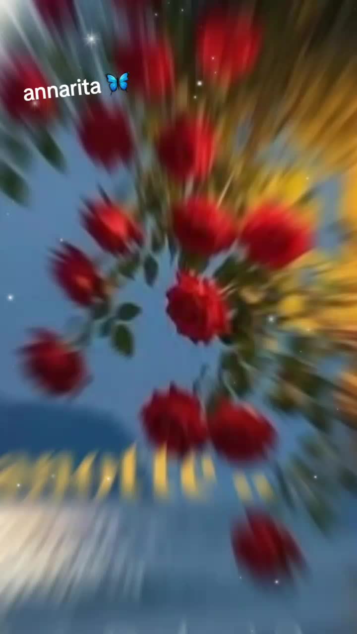 @annarita🦋👑