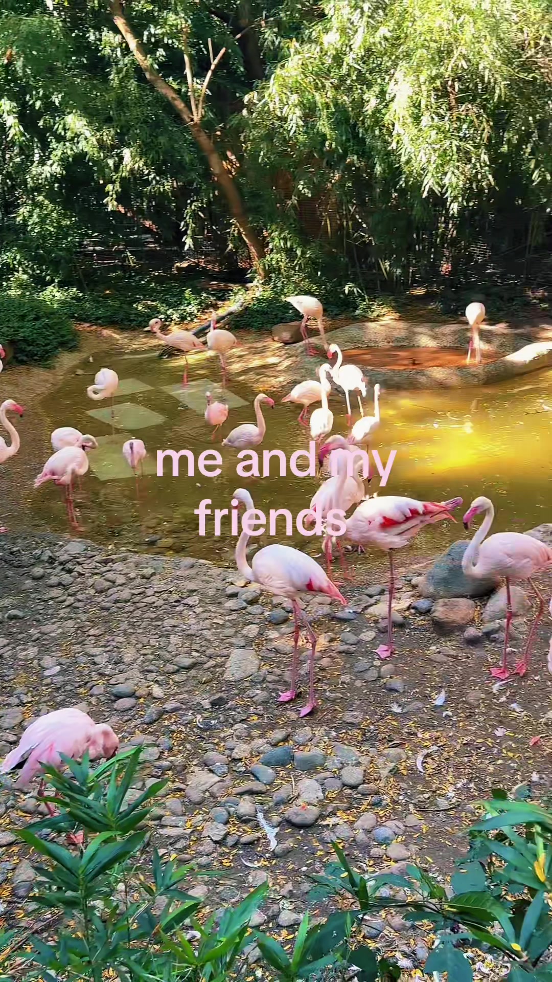 @𝓣𝓲𝓪𝓸𝓷𝓷𝓪 𝓜𝓪𝓻𝓲𝓮