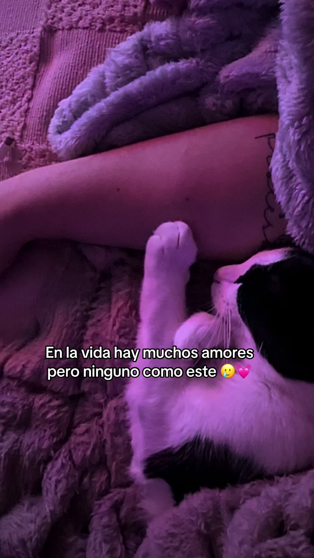 @Luna🌙 y Sol☀️