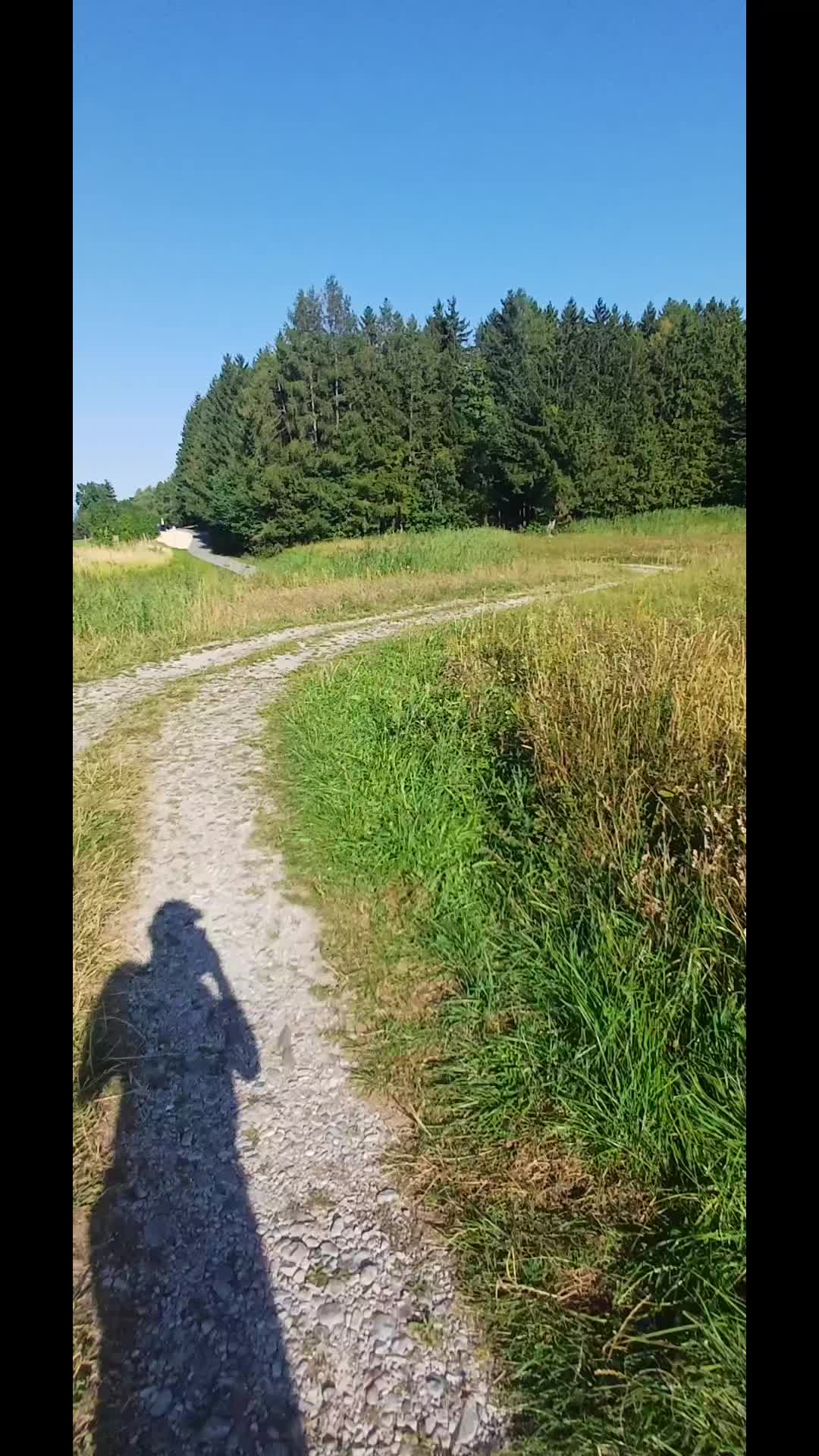 @Matthias Agrar_20