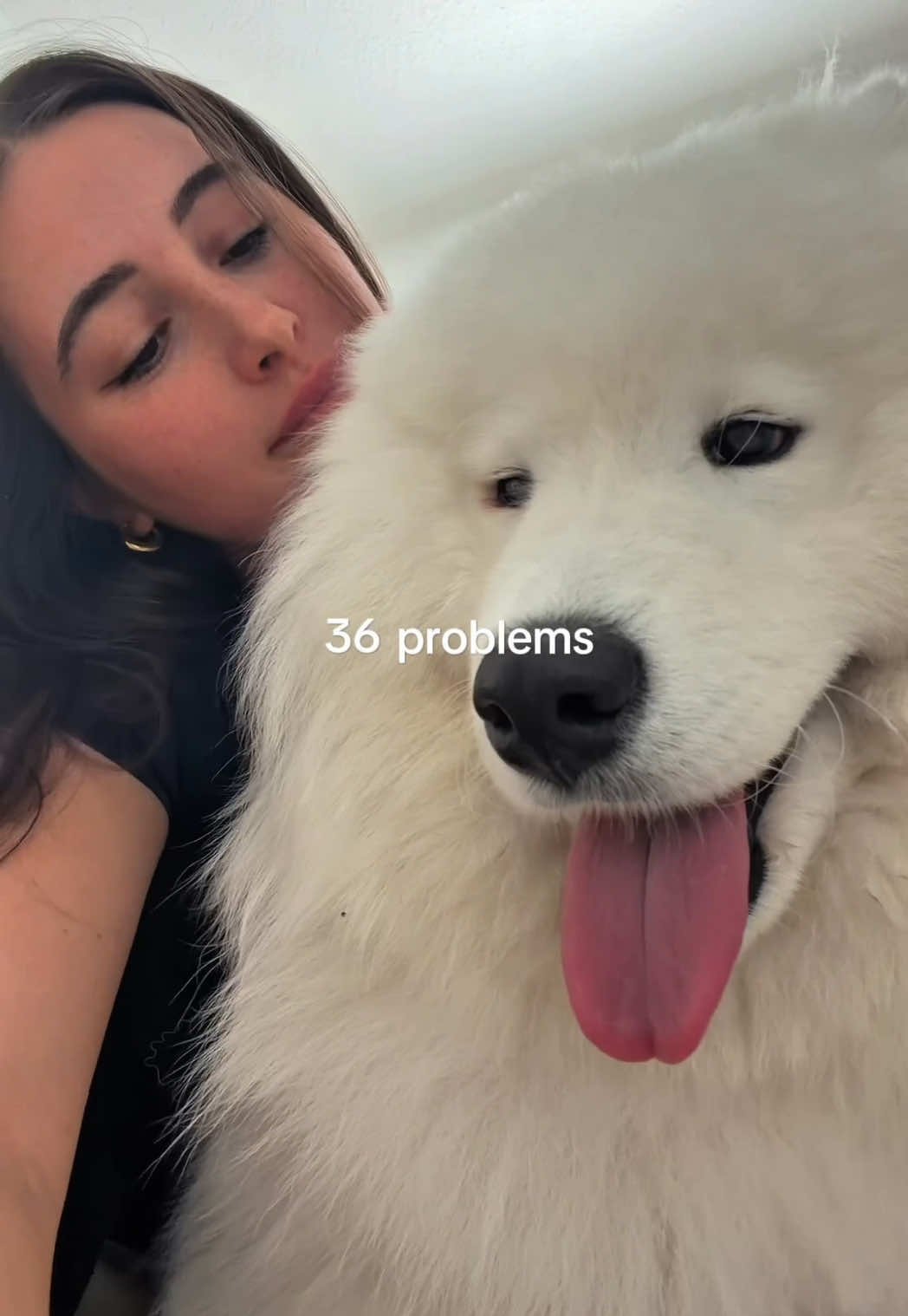 @snowydayswithlio