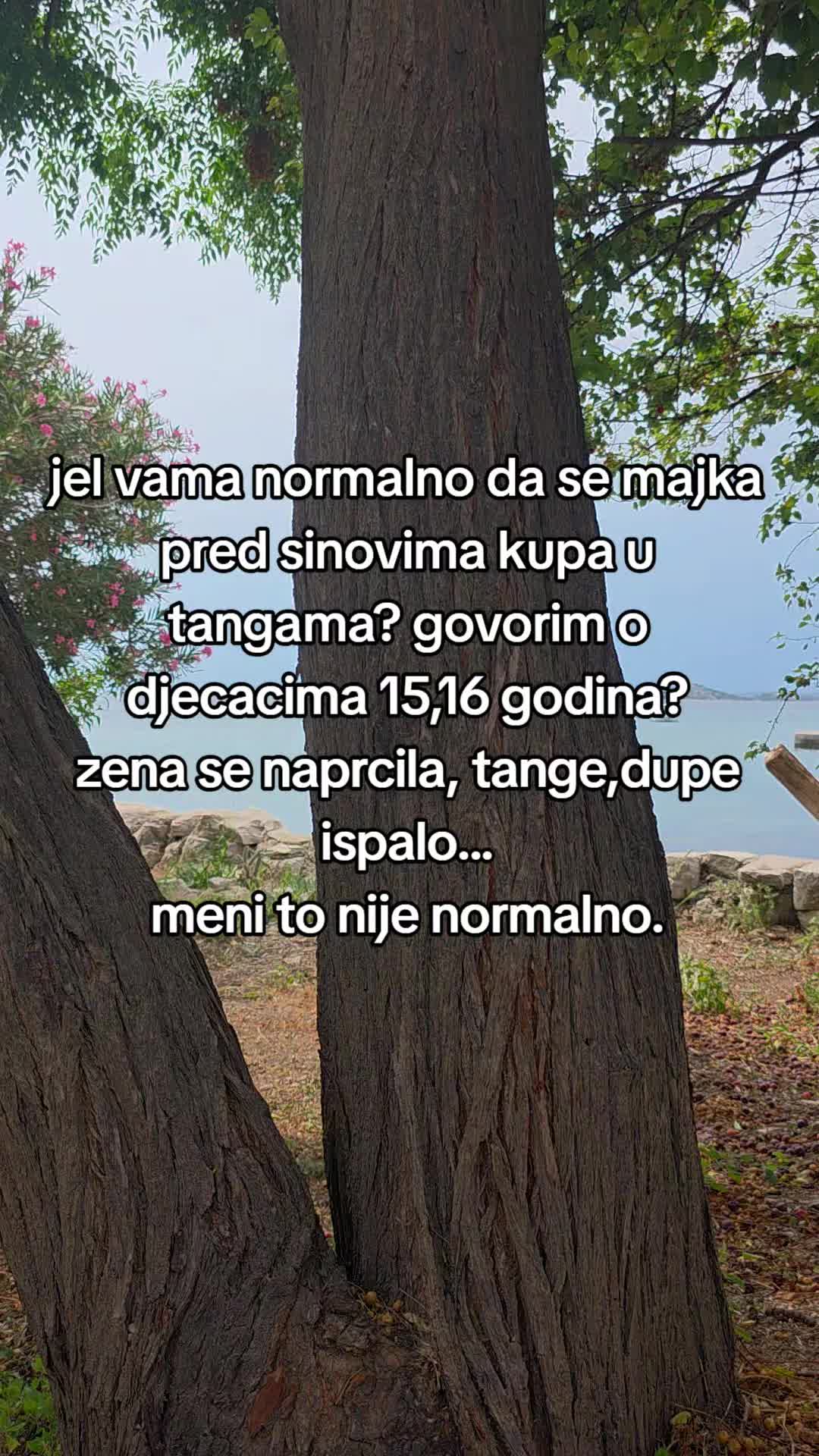 @jebivjetarpro
