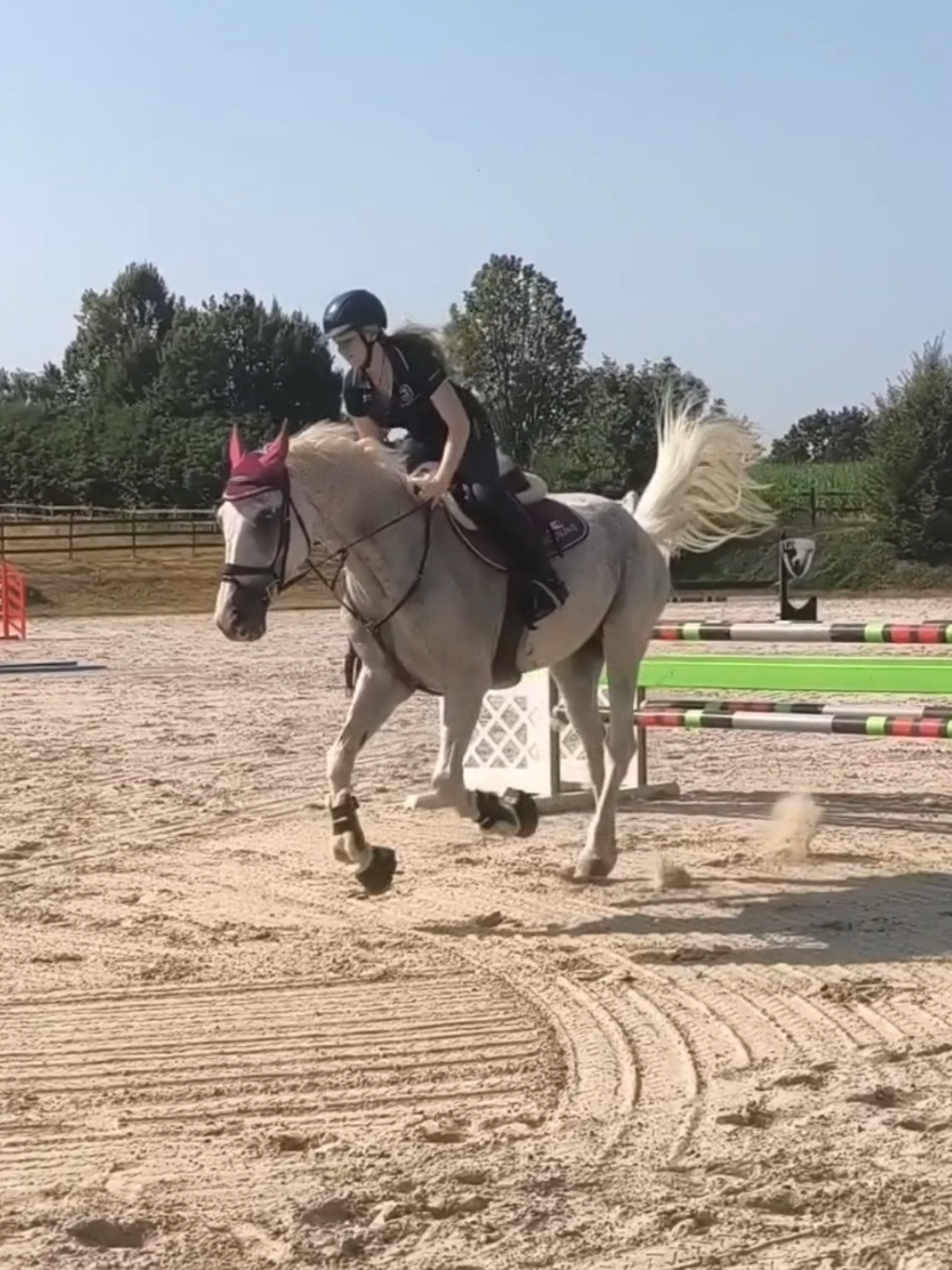 @Spring"Pony"Casha