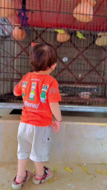 @RUHAN ZAIB