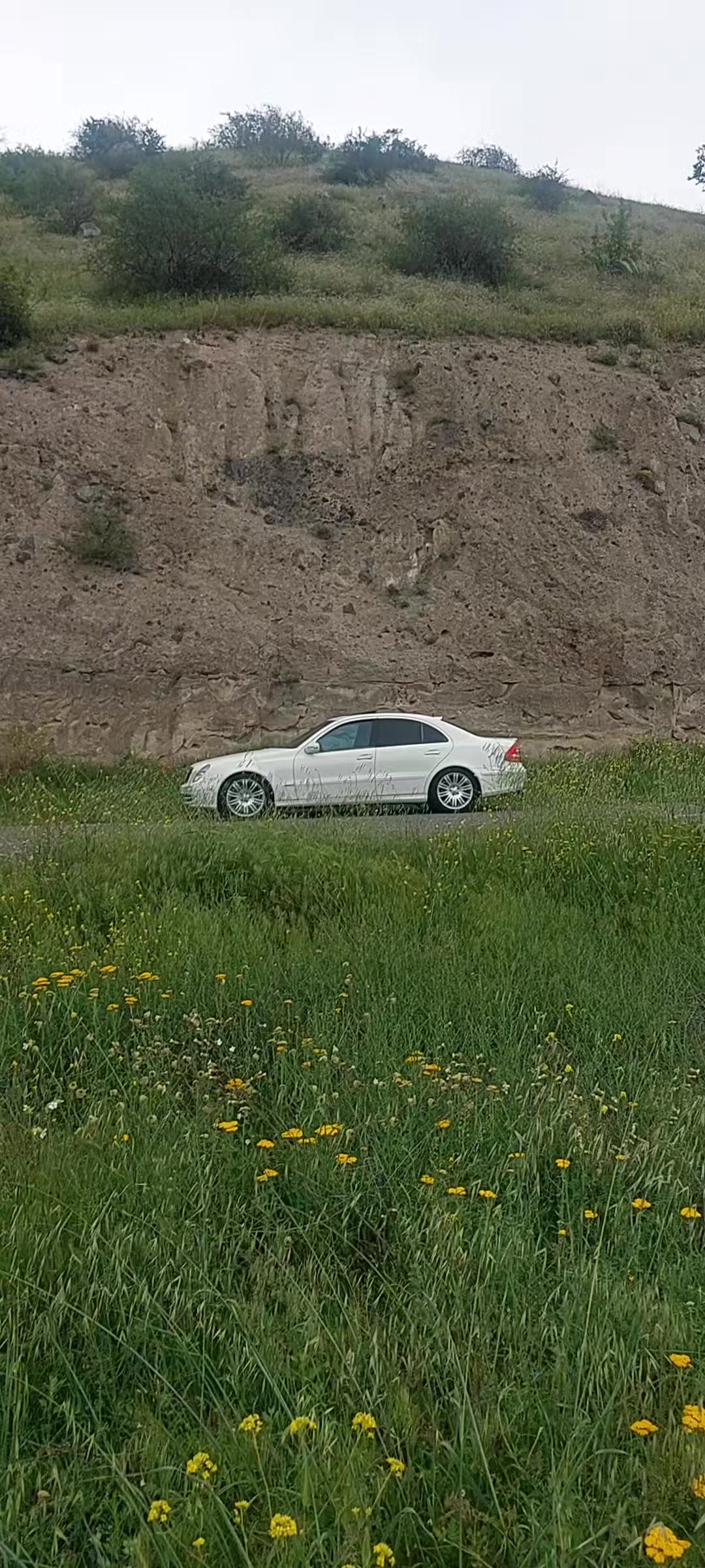 @Avtosebet041.Barış