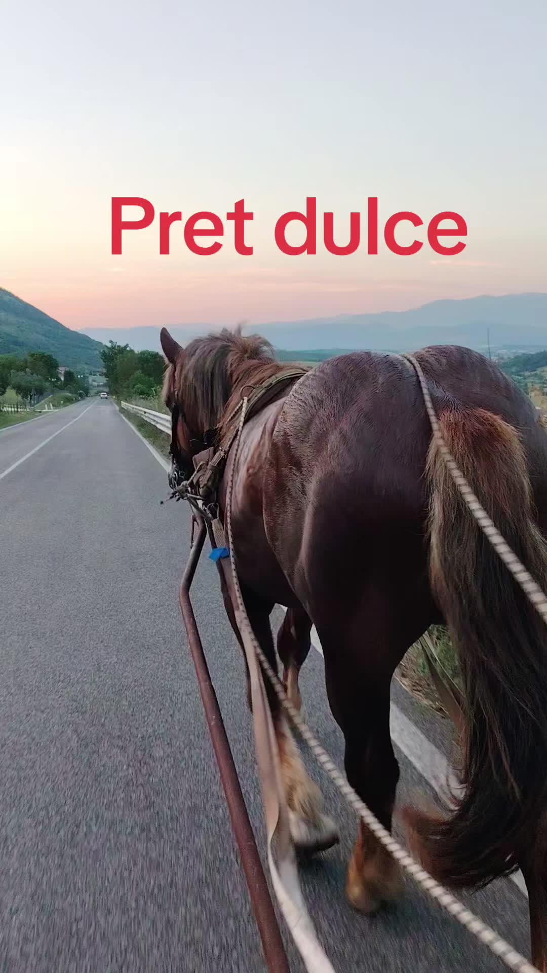 @Olaru Alex