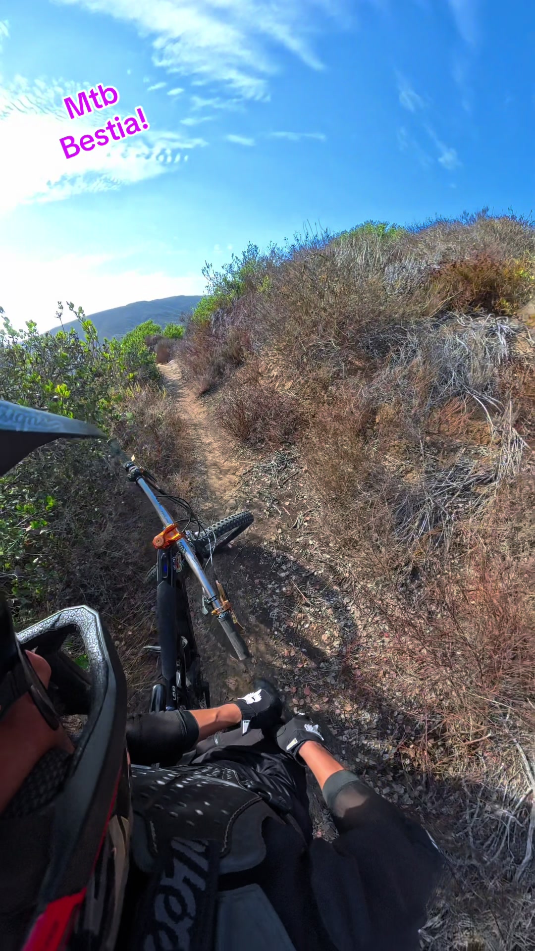 @Mtb BESTIA!