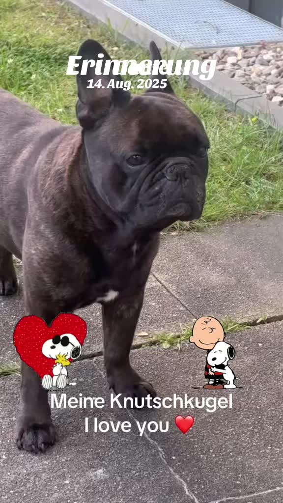 @The_chaos_frenchi