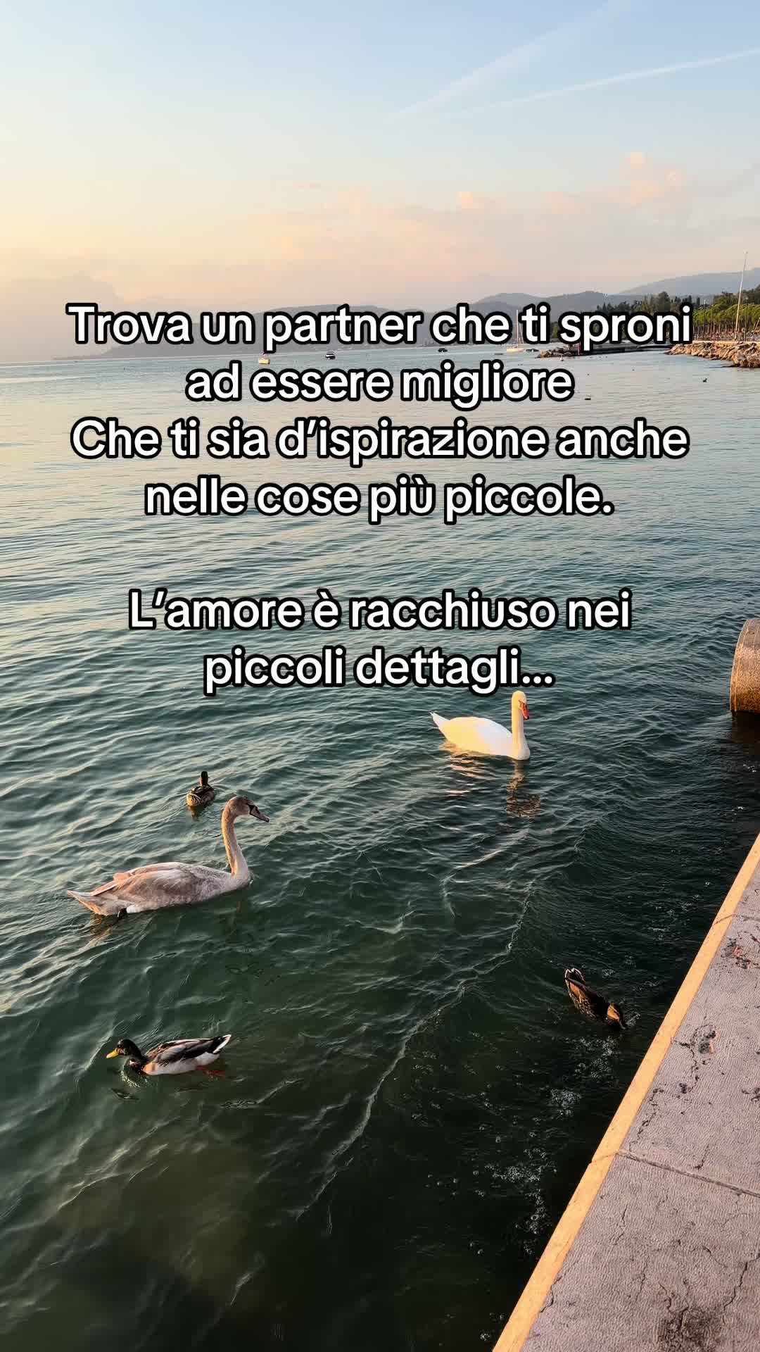 @Il_come