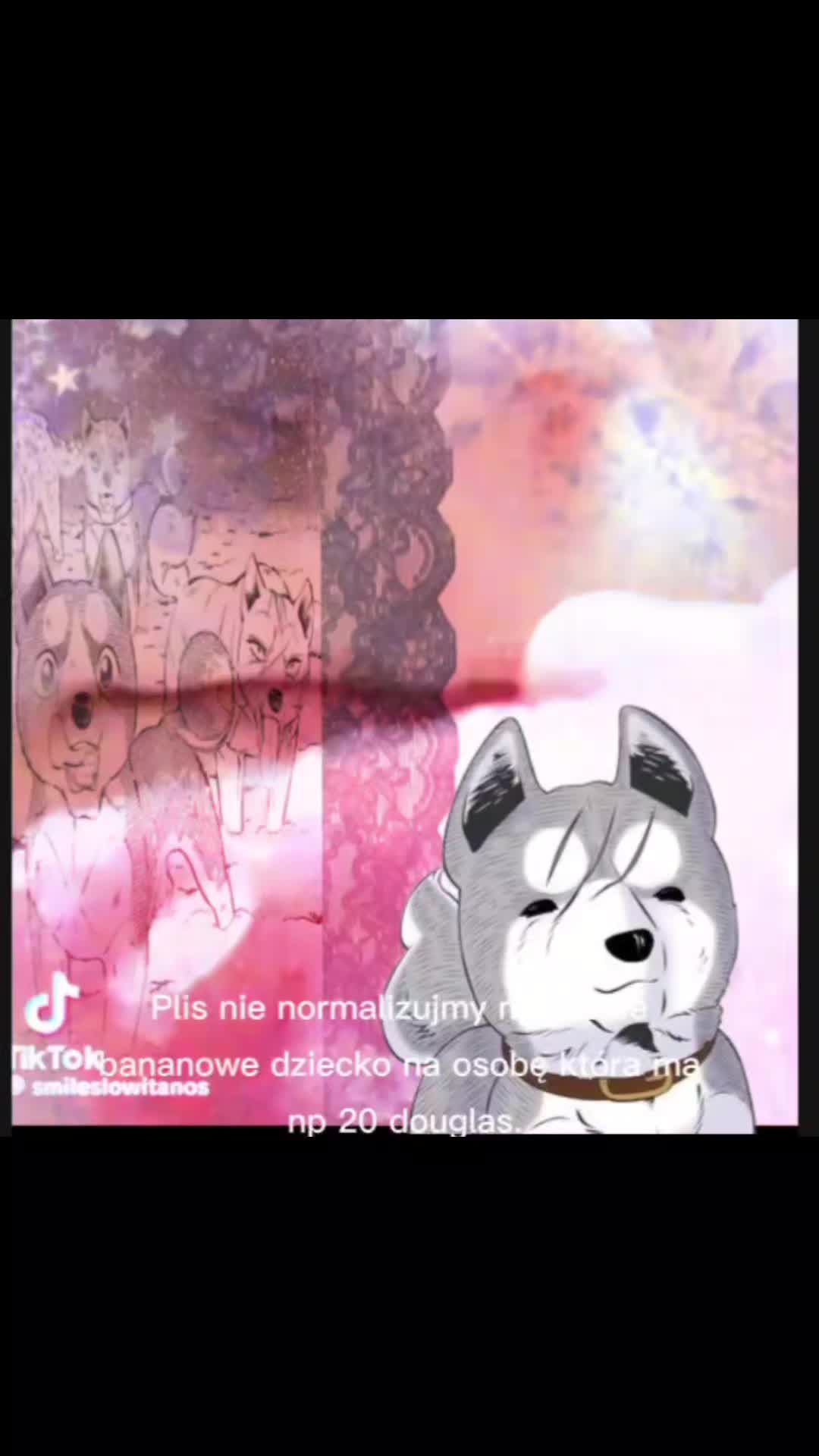 @.°•☆Ginga Silver Fang☆•°.