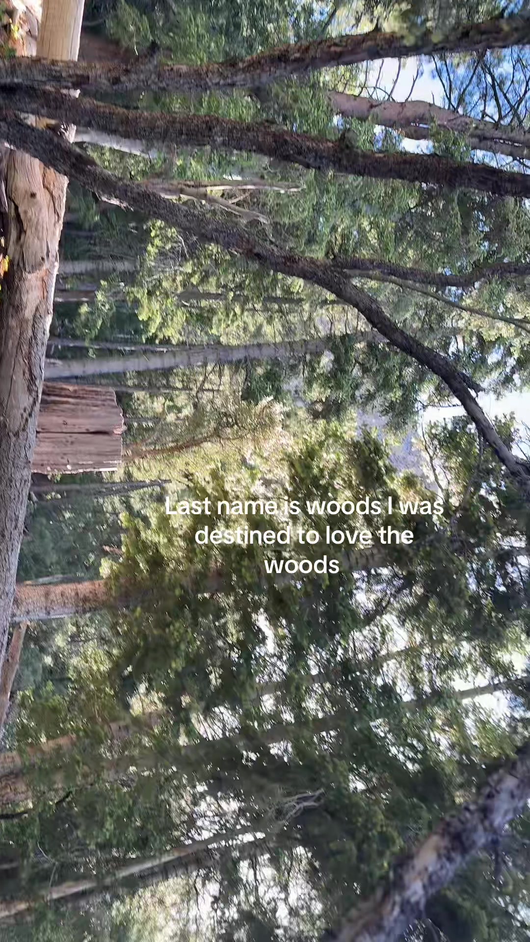 @Belle <333