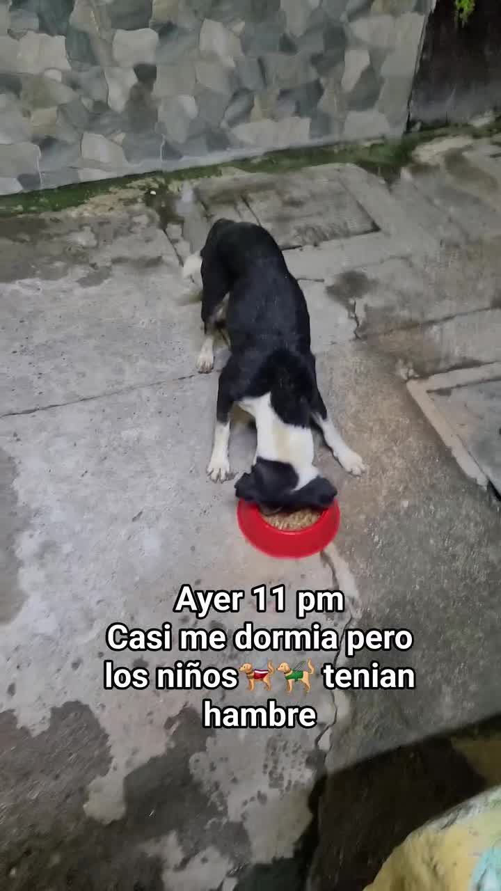 @𝕃𝕚𝕤𝕤 ℝ𝕖yes🇸🇻