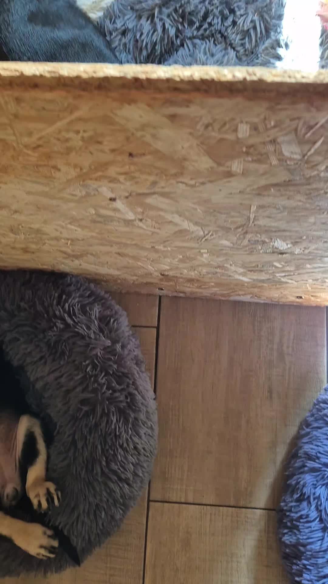 @SanneLightning