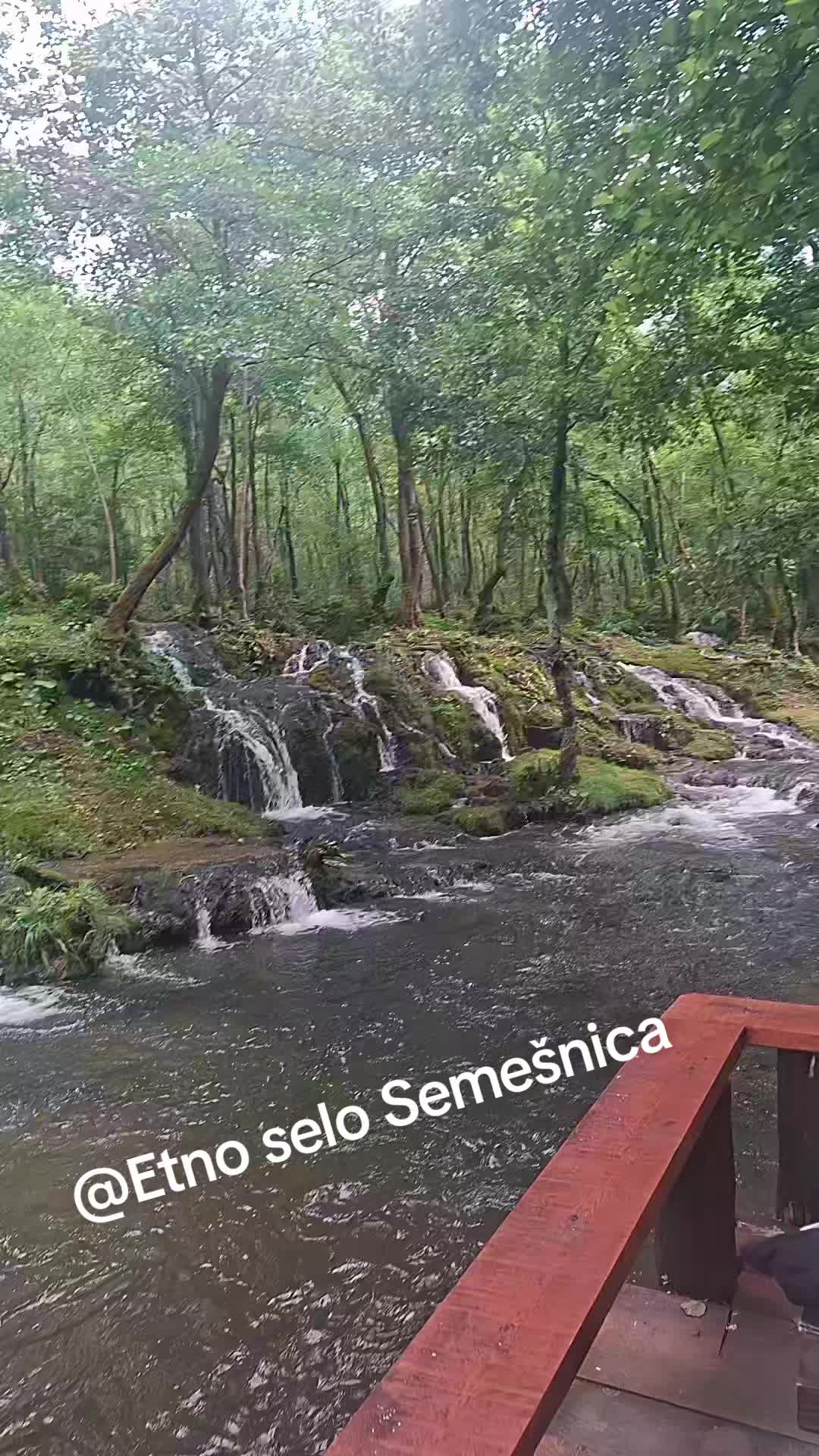@Tajanstvena 1💚