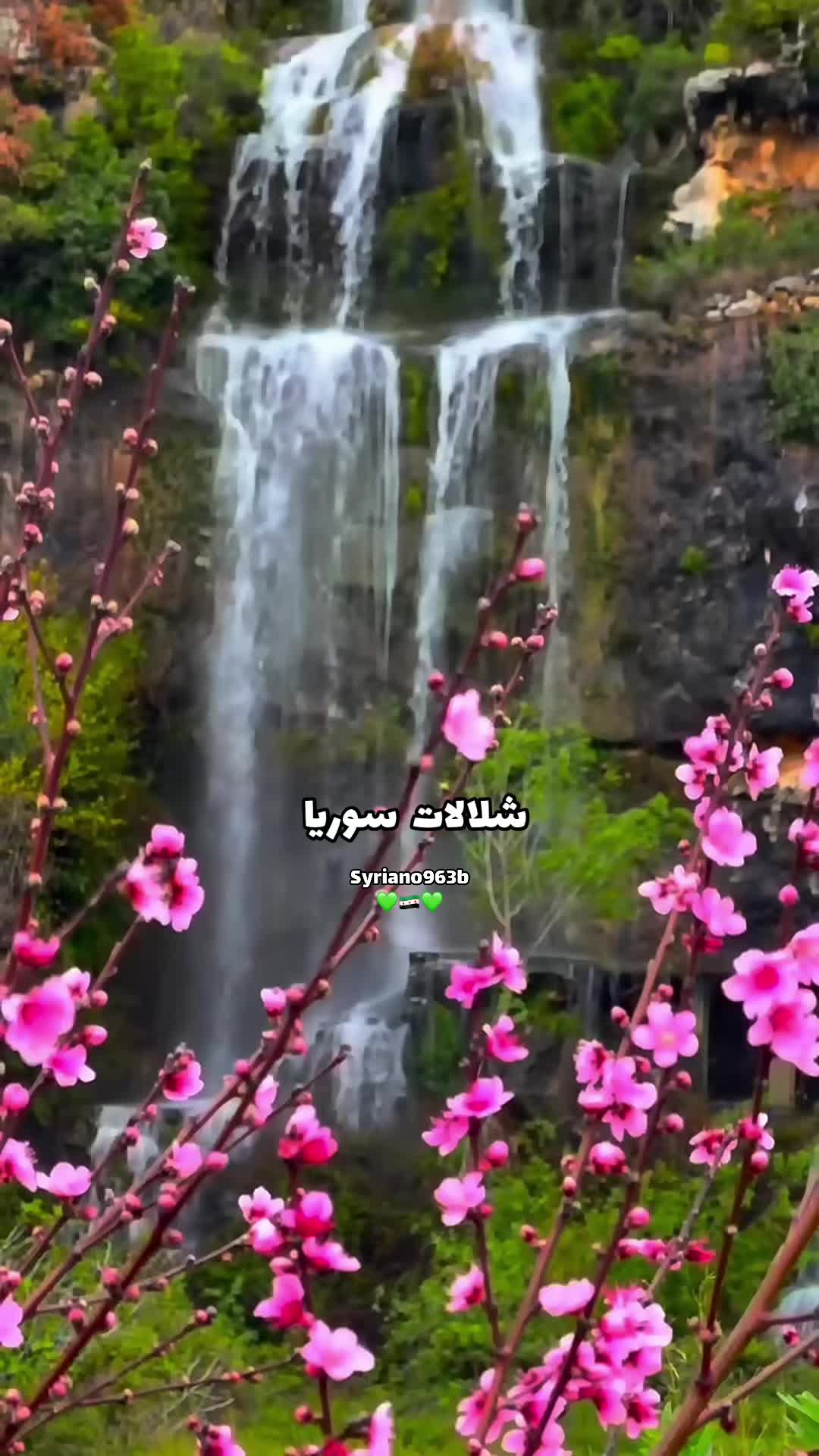 @Syriano/سريانو🇸🇾🦅