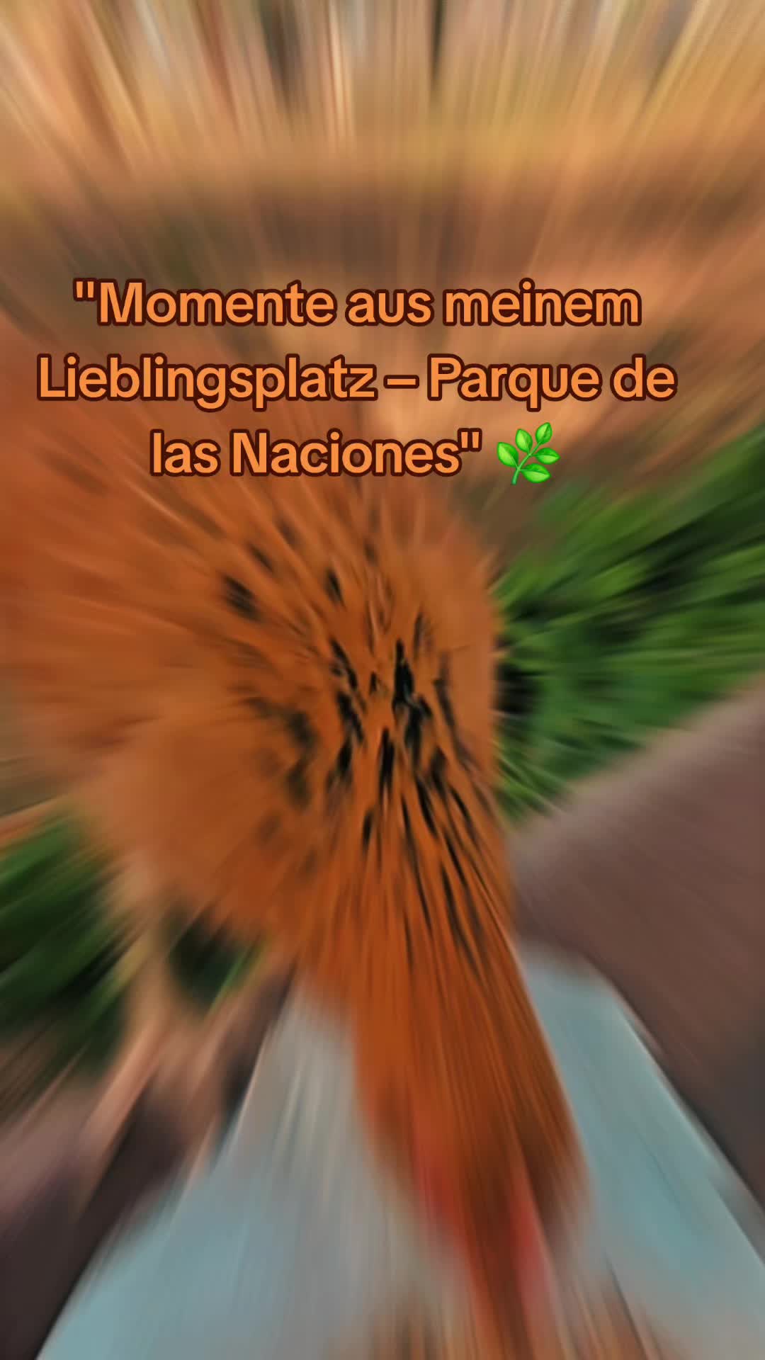 @Patvoe