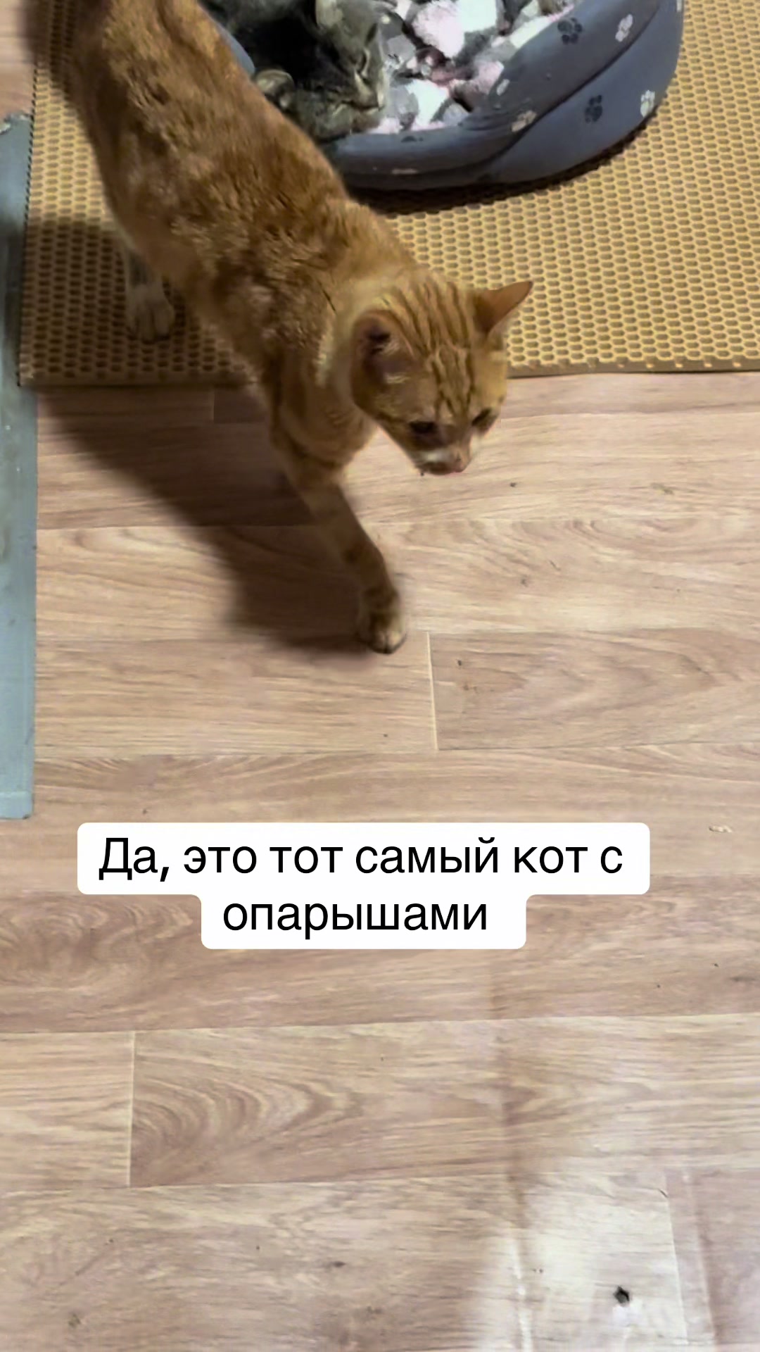 @Анна Алмазова