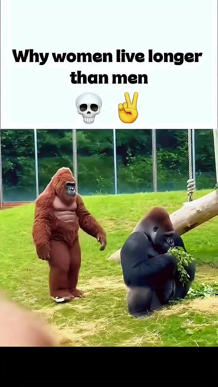 @ZZORO